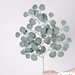 Frosted Eucalyptus/faux Greenery 