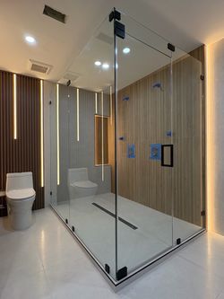 Shower Door Tempered Glass Modern Enclosure