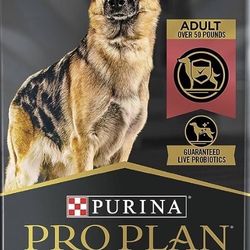 Dog Food Purina  $45