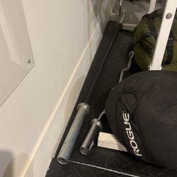 Rogue Bella Barbell 