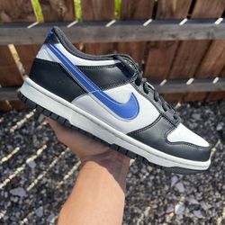 Nike Dunk Low Next Nature TPU Swoosh (Size 5.5Y, 7Y)