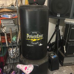 Powerline martial arts training bag.