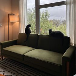 Unopened Box  Edloe Finch Ashbury Sleeper Sofa(Olive Velvet)