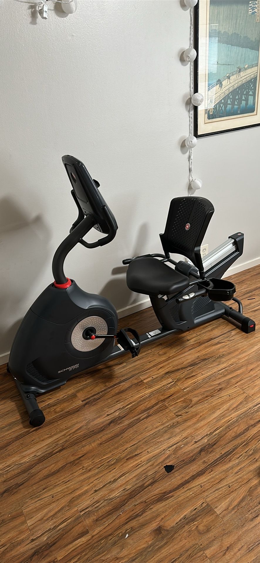 Schwinn 270 Workout Bike