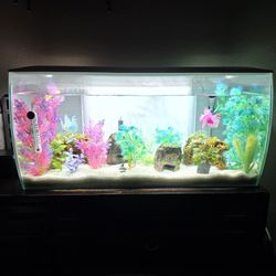 Full AQUARIUM