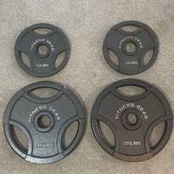 Fitness Gear Olympic Cast Plate / Total Weight : 80lbs(35lbs 2ea , 10lbs 2ea)