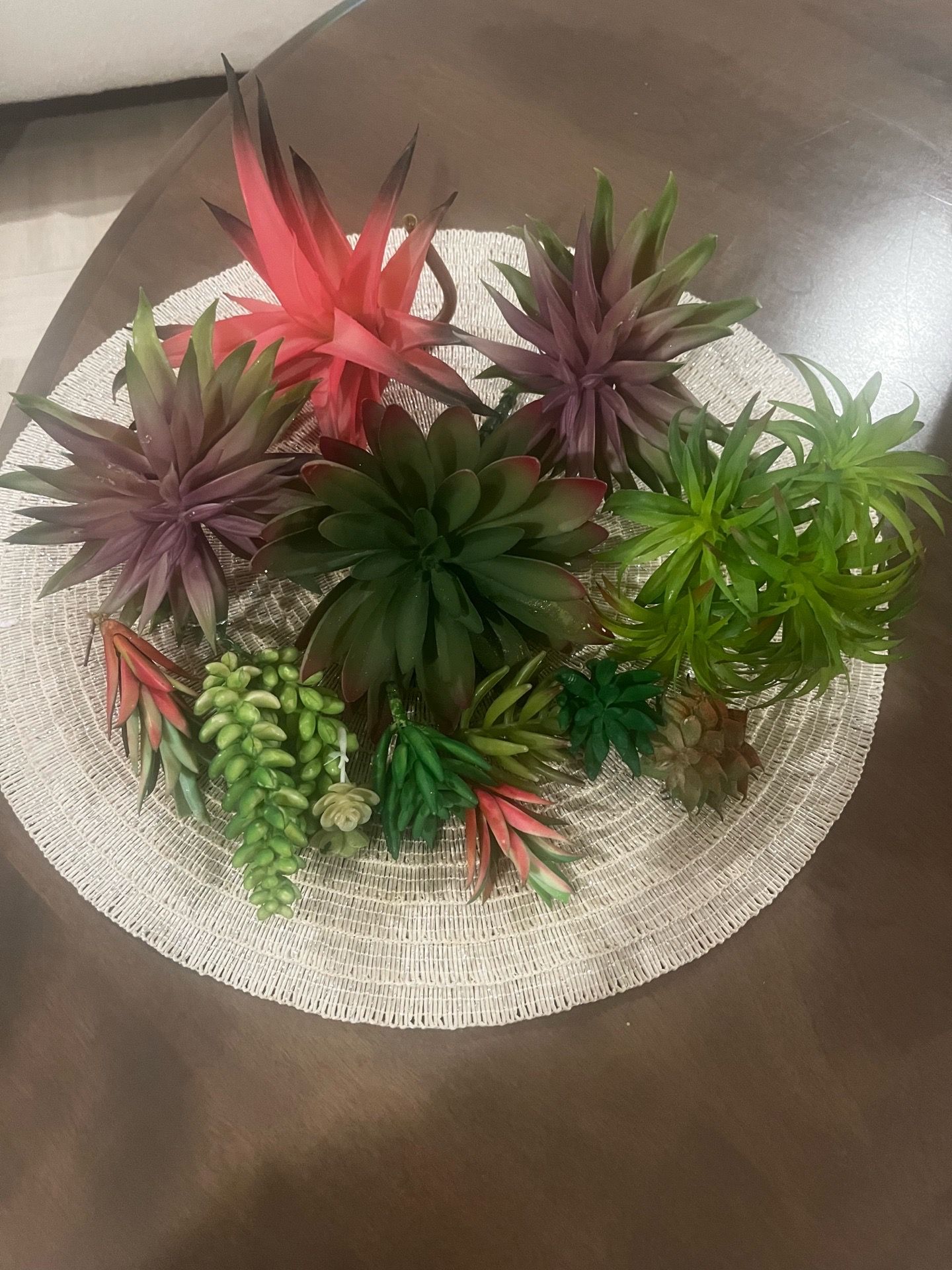 Assorted Artificial Succulent Arrangement - Green and Red
