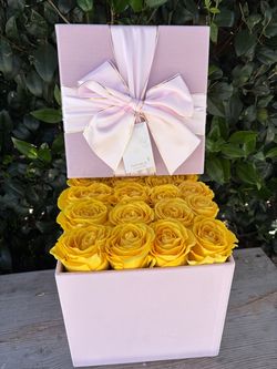 Flowers yellow