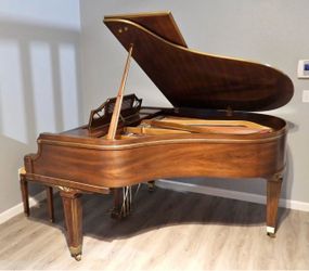 1979 Parlor Grand Piano in Mint Condition