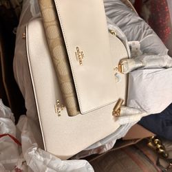 Coach bag/wallet 
