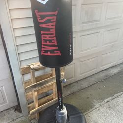 everlast omniflex freestanding punching bag
