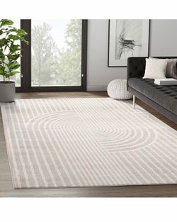 Area Rug