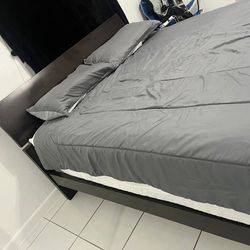 Modern Queen Bed 