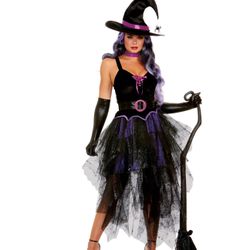 Bewitch Sexy Witch Womens Dreamgirl Costume NEW