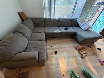 Grey Sectional Sofa and large area rug! (Free!!)