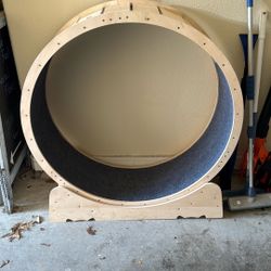 Cat Running Exercise Wheel