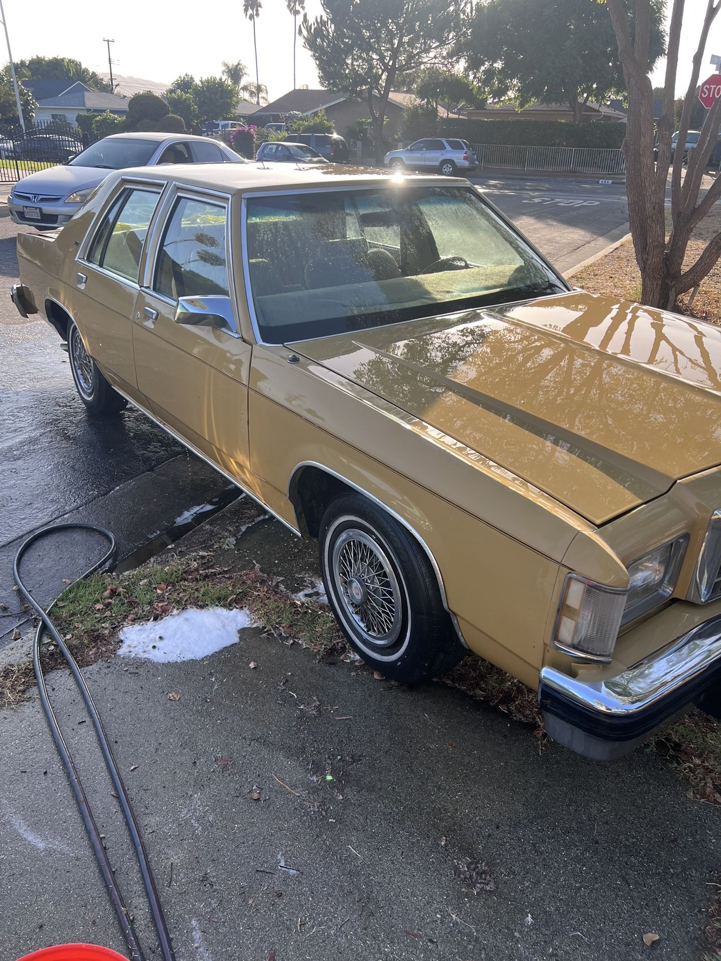 1979 Ford LTD