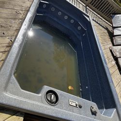 Swim Spa