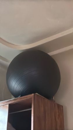 Black Exercise Stability Ball
