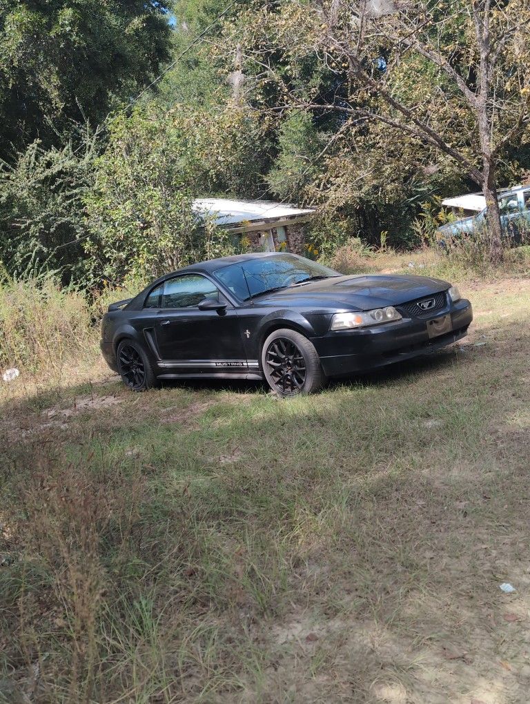 2000 Ford Mustang