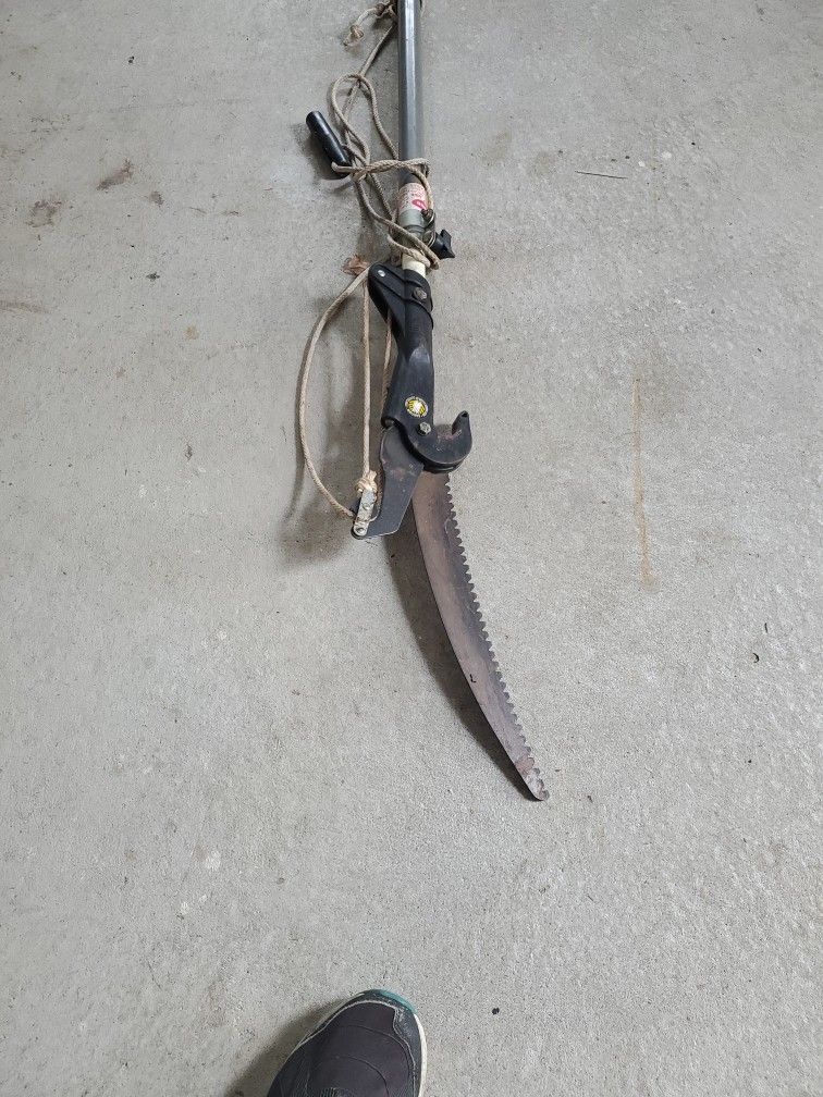 Tree Saw