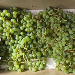 Natural Fresh Green Grapes