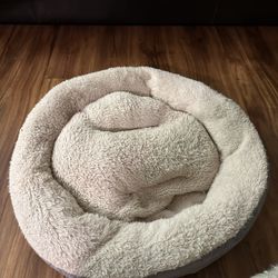 Dog/Cat Bed : Camas De Perros/Gatos