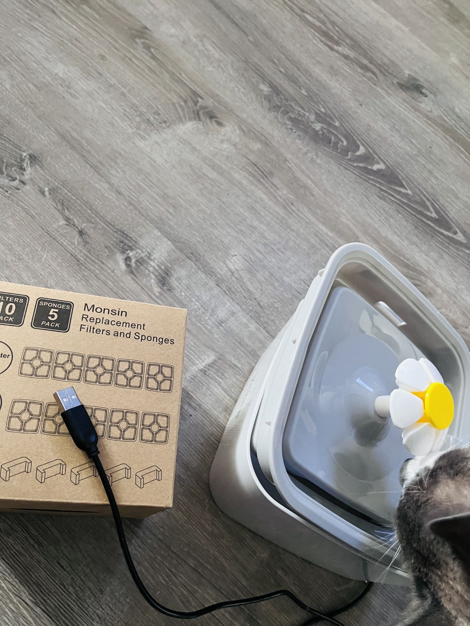 Water Bowl