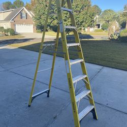 8 Foot Step Ladder