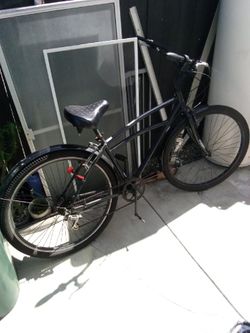 schwinn beach cruiser  size - "29"
