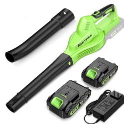 Cordless Leaf Blower 2 Batteries with  Charger