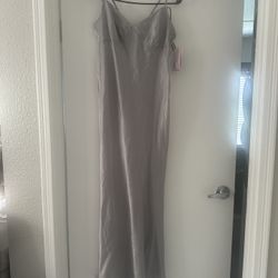 Beautiful ELEGANT Silk Silver Gown 