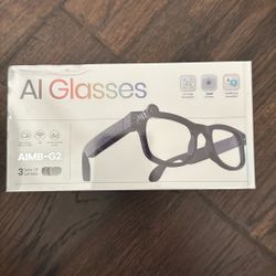 AI Glasses 