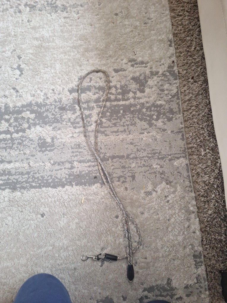 Dog Leash