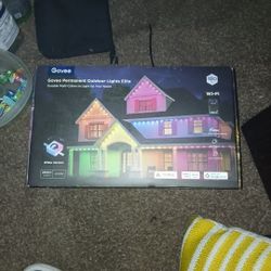 Government Permanent Outdoor Lights Elite