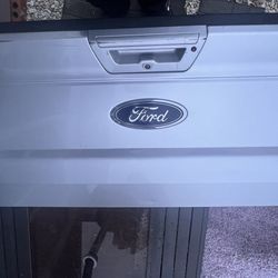 Ford F150 Tailgate 