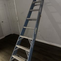 Werner 8ft Step ladder