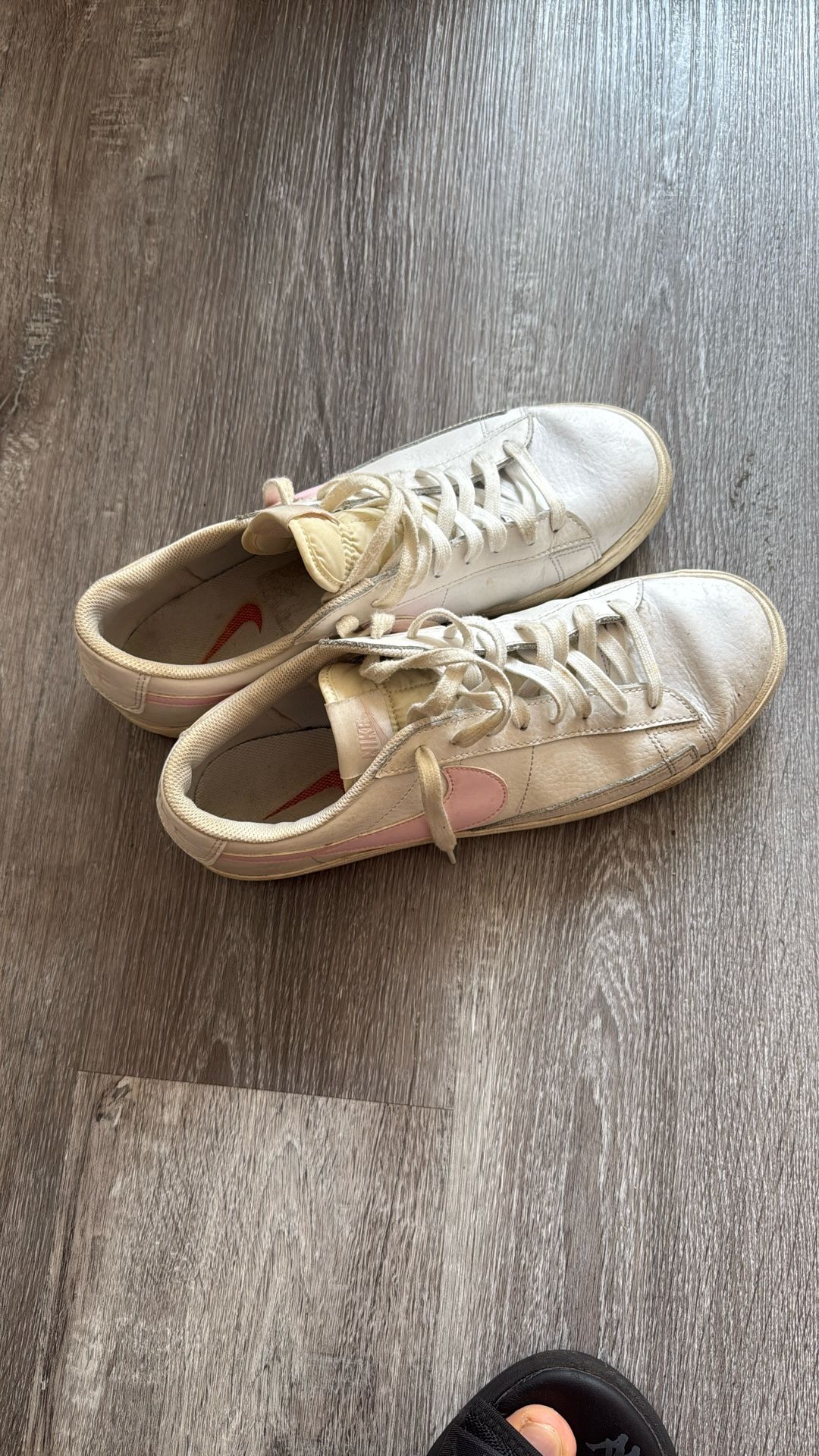 Nike Trailblazers Lows