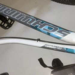 Schwinn Bike