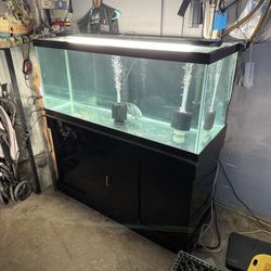 75 Gallon Aquarium 