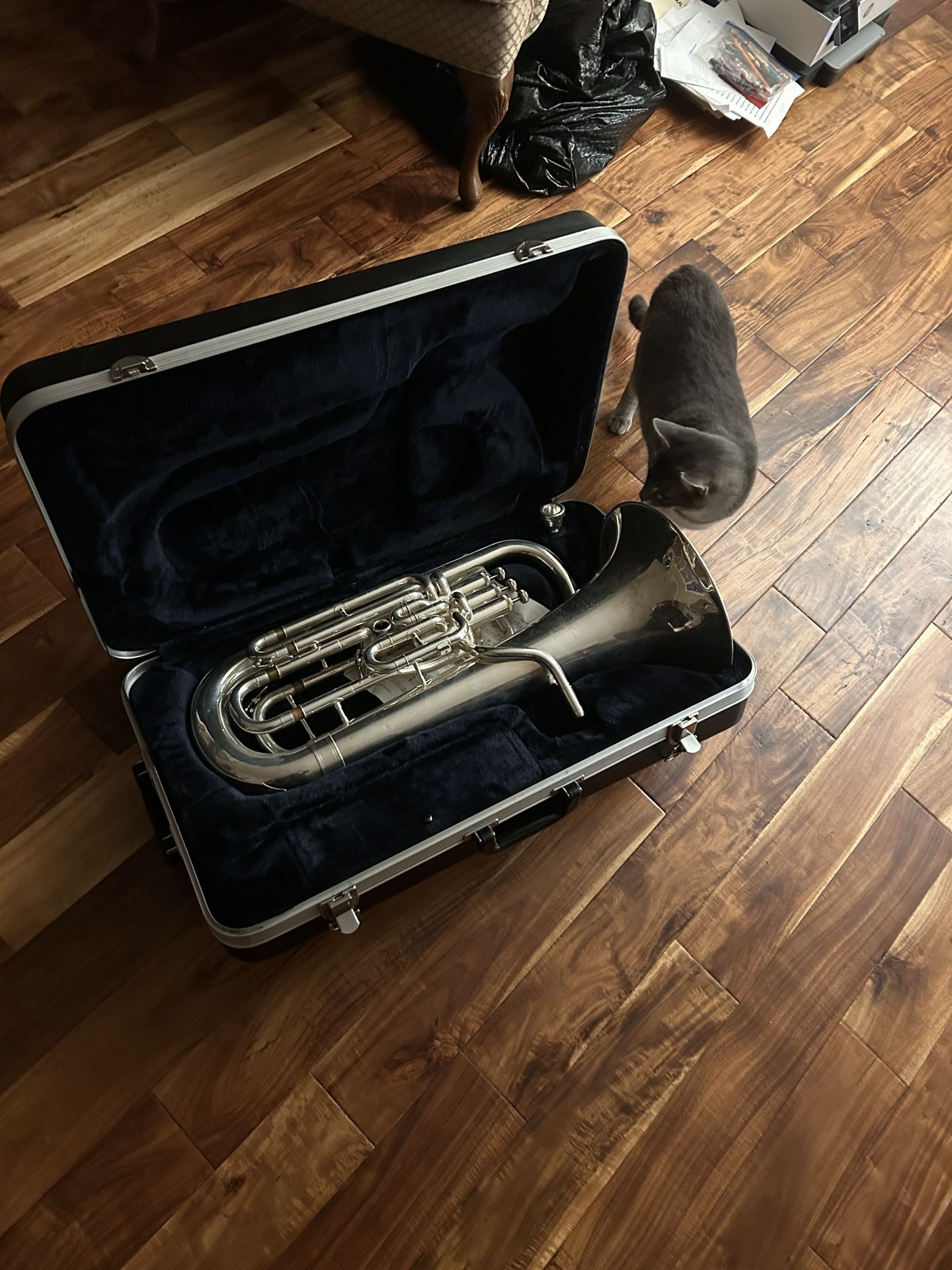 Eastman EEP 526 Compensating 4 Valve Euphonium