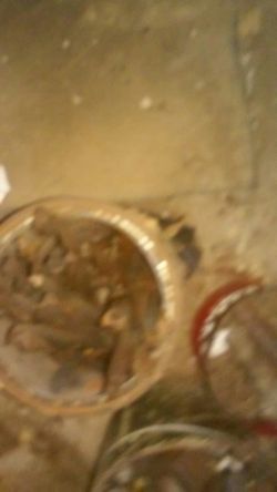 Bucket of large drills