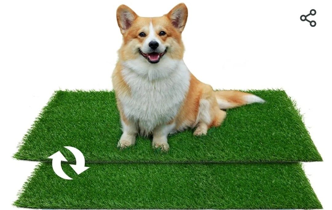 Artificial Fake Grass Training Dog Grass