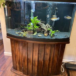 46 gallon bow front aquarium cheap