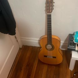 Flamenco Guitar