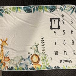 Baby Monthly Milestone Blanket