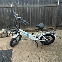 Electric Bike