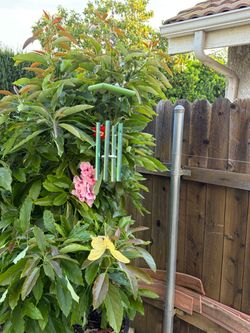 WindChime for Sale