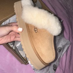 Brand New Uggs 
