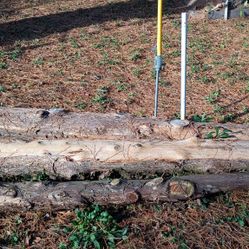 Cedar Posts